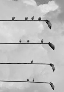 Марко Мишељић_4, 3, 1, 2